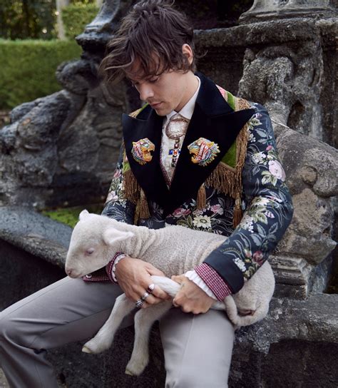 campaign gucci harry styles photoshoot 2019|Harry Styles Gucci website.